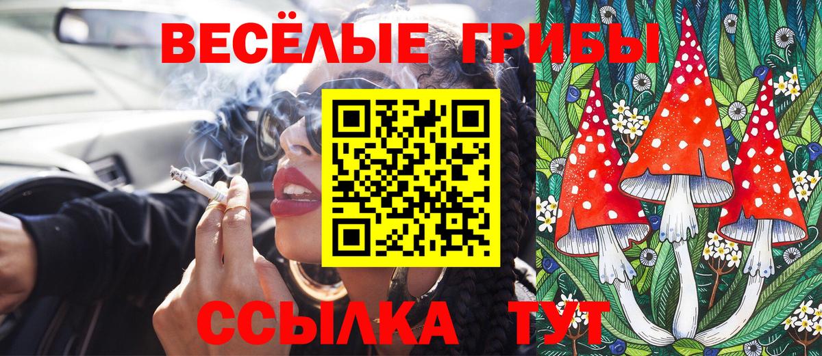 Галлюциногенные грибы GOLDEN TEACHER Еманжелинск